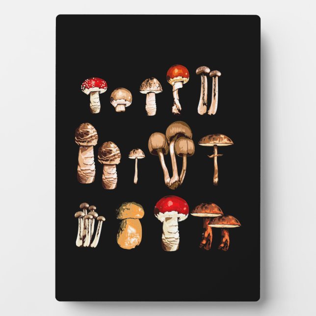 Plaque Photo Vie du champignon Picker (Devant)