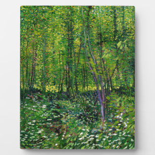 Plaque Photo Vincent Van Gogh Arbres Et Sous-Croissance