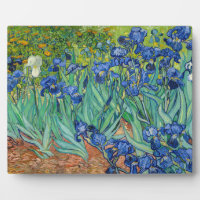 Vincent Van Gogh - Irises