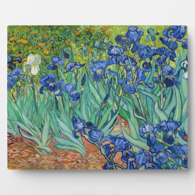 Plaque Photo Vincent Van Gogh - Irises (Devant)