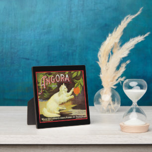 Plaque Photo Vintage Angora Blanc Chat Citrus Étiquette de frui