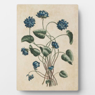 Plaque Photo Violets floraux vintages