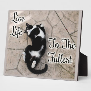 Plaque Photo Vivre À La Totalité Cat Motivational Citation Slog