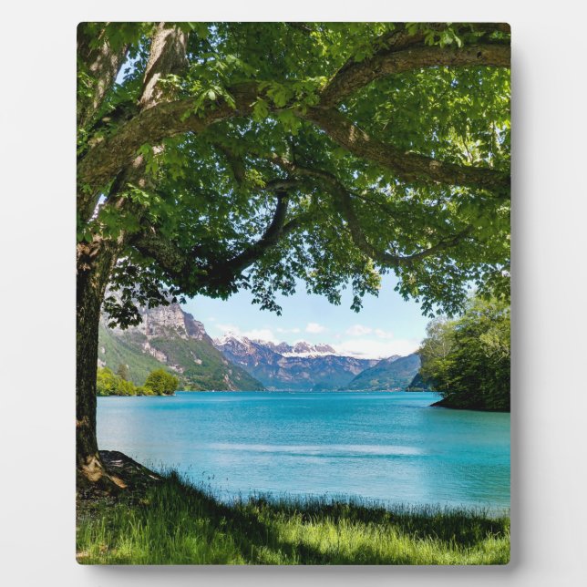 Plaque Photo Walensee Suisse (Devant)