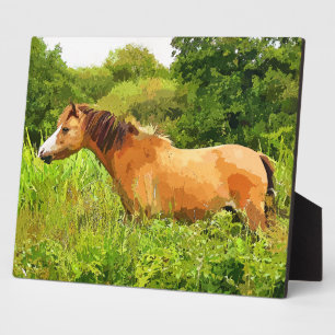 PLAQUE PHOTO WELSH PONY