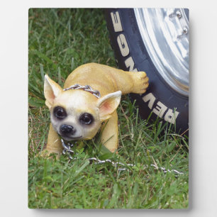 Plaque Photo Whiz Kid