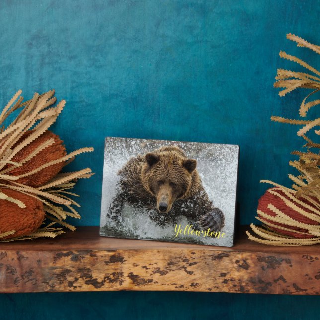 Plaque photo-Yellowstone Bear Plaque (Côté)