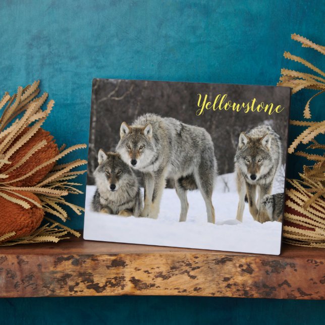 Plaque photo-Yellowstone Wolves Plaque (Côté)
