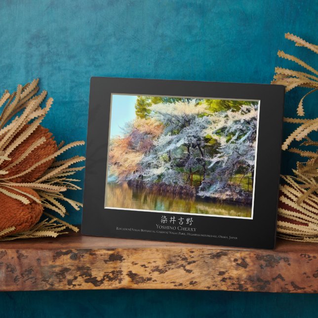 Plaque Photo Yoshino Cherry (Côté)