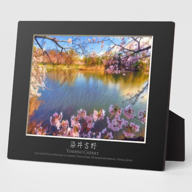 Plaque Photo Yoshino Cherry (Côté)