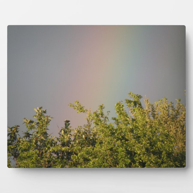 Plaque Rainbow Sky (Devant)