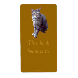 Plaque "Tigre" de Feral Kitten