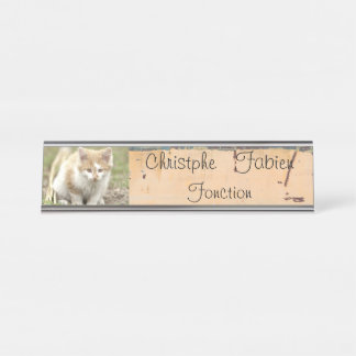 Plaques de nom animaux de chat.