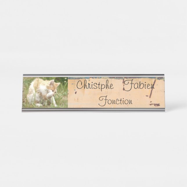 Plaques de nom chat 1 . animaux. (Devant)
