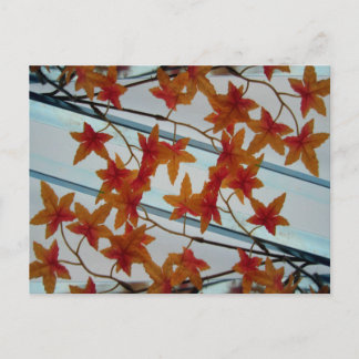 Plastic Leaves & Symmetry Postcard