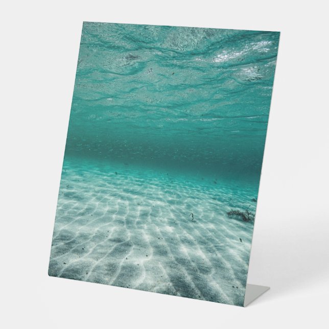Plastic Pedestal Sign 10"X12" (Front)