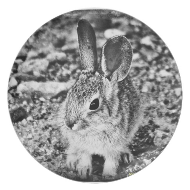 Plat de mélamine de lapin de bébé (Devant)