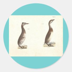 Plate 141 classic round sticker