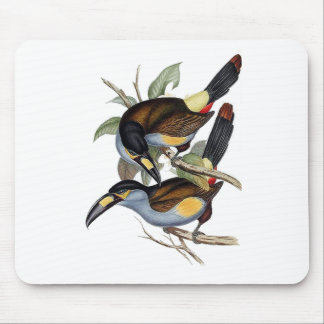 Plate-billed Mountain Toucan Mouse Pad