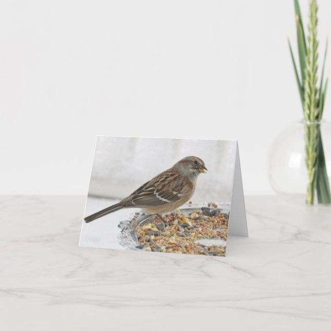Plate-forme Sparrow et Silver - Carte blanche (Devant)