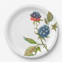 plate with watercolor branch blackberry berry
