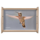 Anna's Hummingbird Hovers in Place