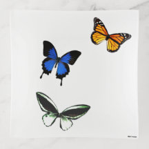 Plateau de bibelot de motif de papillon