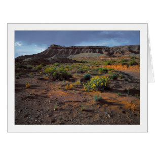 "Plateau de Sundowner "