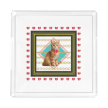 Chat de gingembre et chaîne d'or dessous de verre 