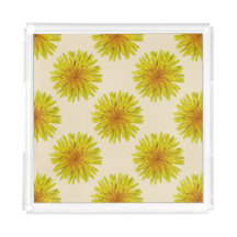 Fleur jaune de pissenlit d'été sur toute couleur