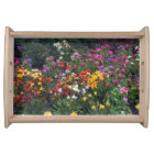 Fleur sauvage de l'Alaska