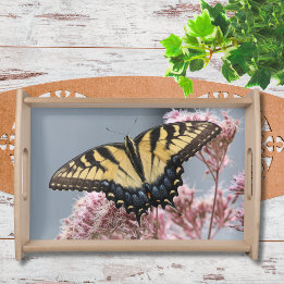 Plateau Papillon à queue de tigre Swallowtail sur Fleur sa