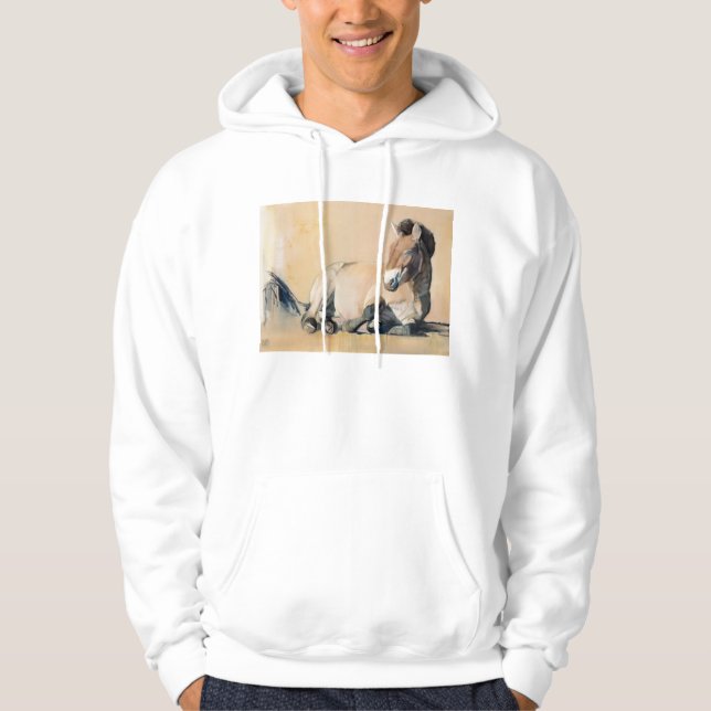 Plateau Sun Hoodie (Front)