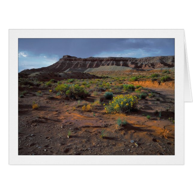 "Plateau Sundowner" (Devant horizontal)
