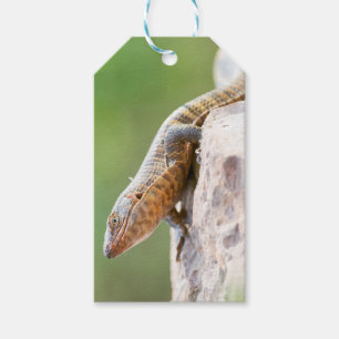 Plated Lizard Gift Tags