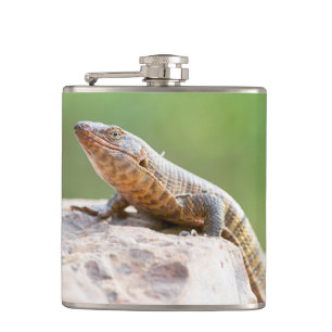 Plated Lizard Hip Flask