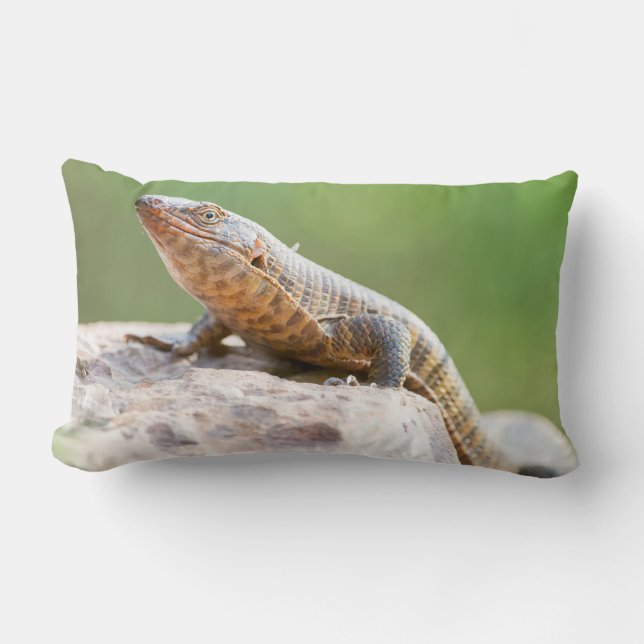 Plated Lizard Lumbar Pillow (Front)