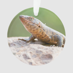 Plated Lizard Ornament