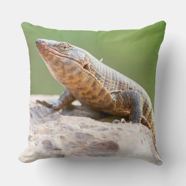 Plated Lizard Throw Pillow (Front)