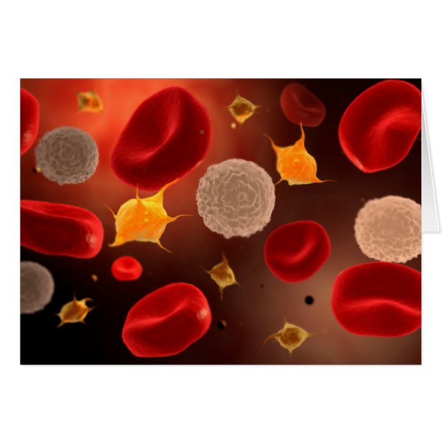 Platelets Avec Cellules De Sang Rouge 2 (Devant horizontal)