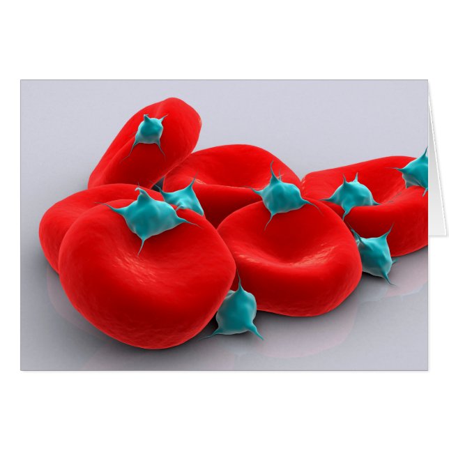 Platelets With Red Blood Cells 1 (Front Horizontal)