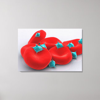 Platelets With Red Blood Cells 1 Canvas Print