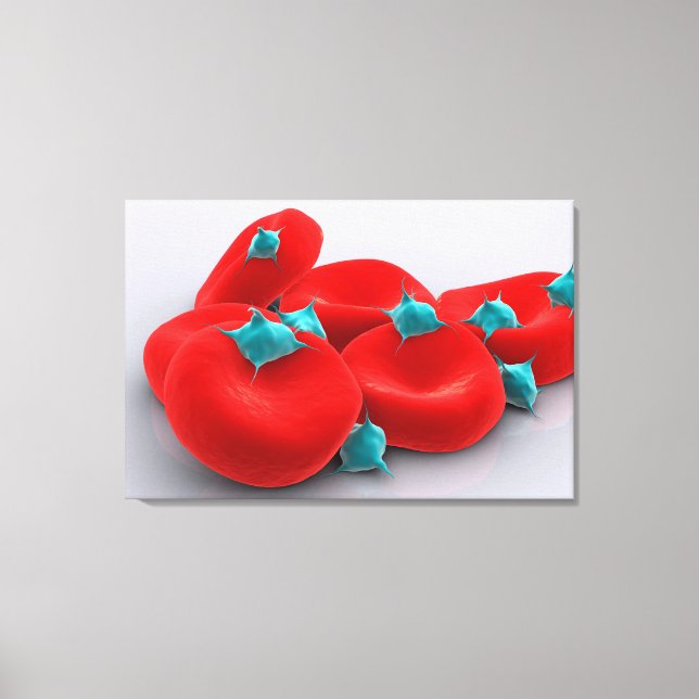 Platelets With Red Blood Cells 1 Canvas Print (Front)