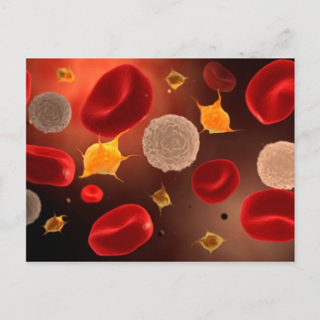 Platelets With Red Blood Cells 2 Postcard (Front)