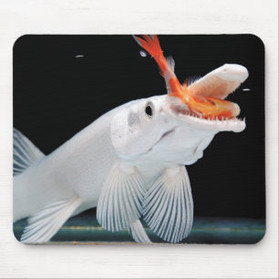 Platinum Alligator Garのマウスパッド Mouse Pad