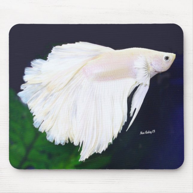 Platinum Betta fish Mouse Pad (Front)