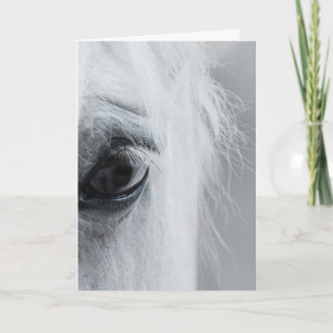 Platinum Equine Greeting Card