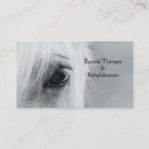 Platinum Horse Personalize Business Cards
