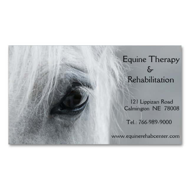 Platinum Horse Personalized Magnetic Business Card (Front)