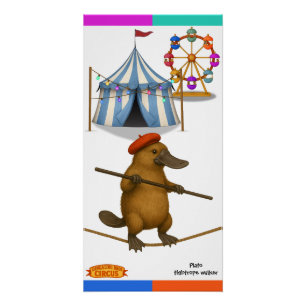 Plato platypus, tightrope walker poster